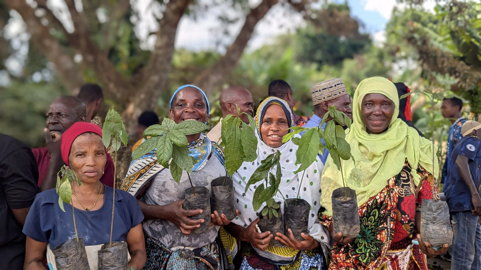 Mashindei: Turning Degraded Land into Opportunity